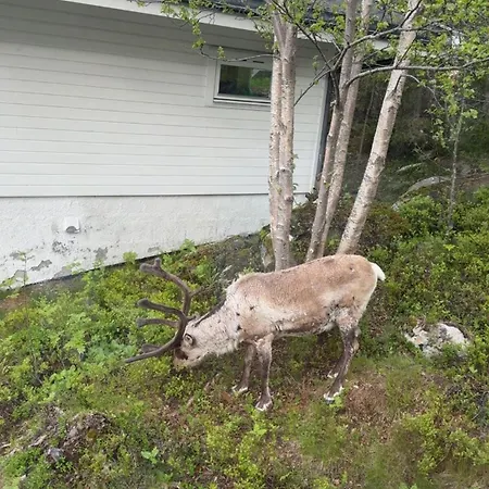 Apartamento Stor Naer Flyplass, Buss Og *