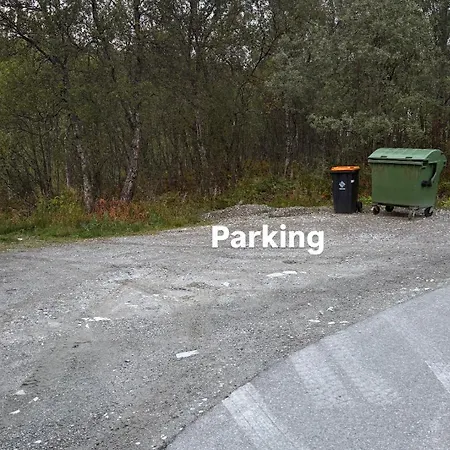 Stor Naer Flyplass, Buss Og