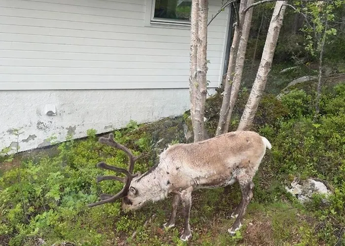 Appartamento Stor Naer Flyplass, Buss Og *