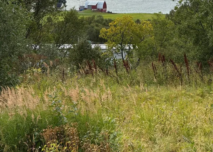 Stor Naer Flyplass, Buss Og