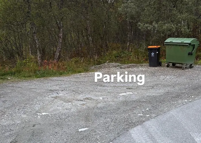 Stor Naer Flyplass, Buss Og